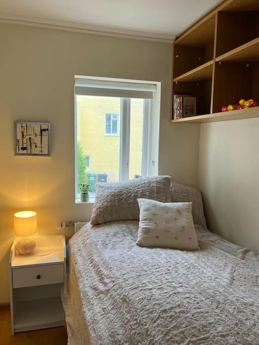 Charming 3 Bedroom Apartment Акурейрі Екстер'єр фото